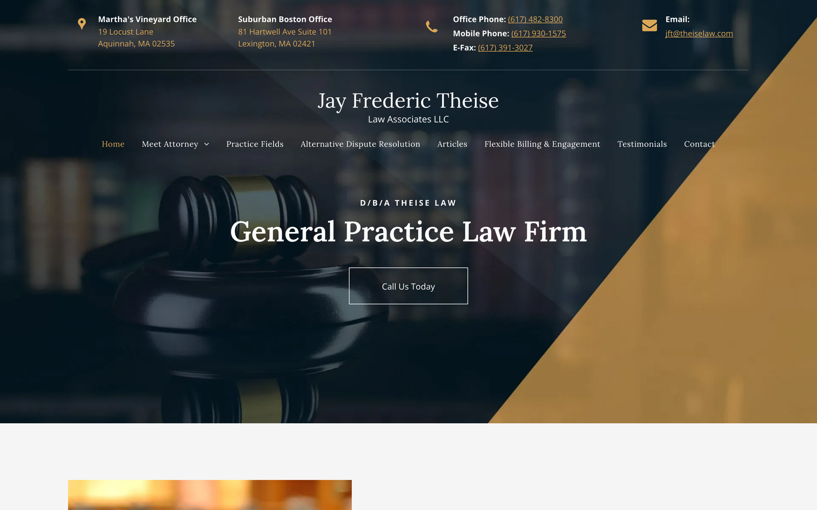 Theise Law Associates homepage screenshot